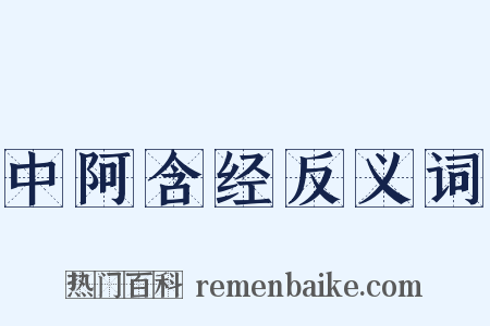 中阿含经反义词是什么意思的图片